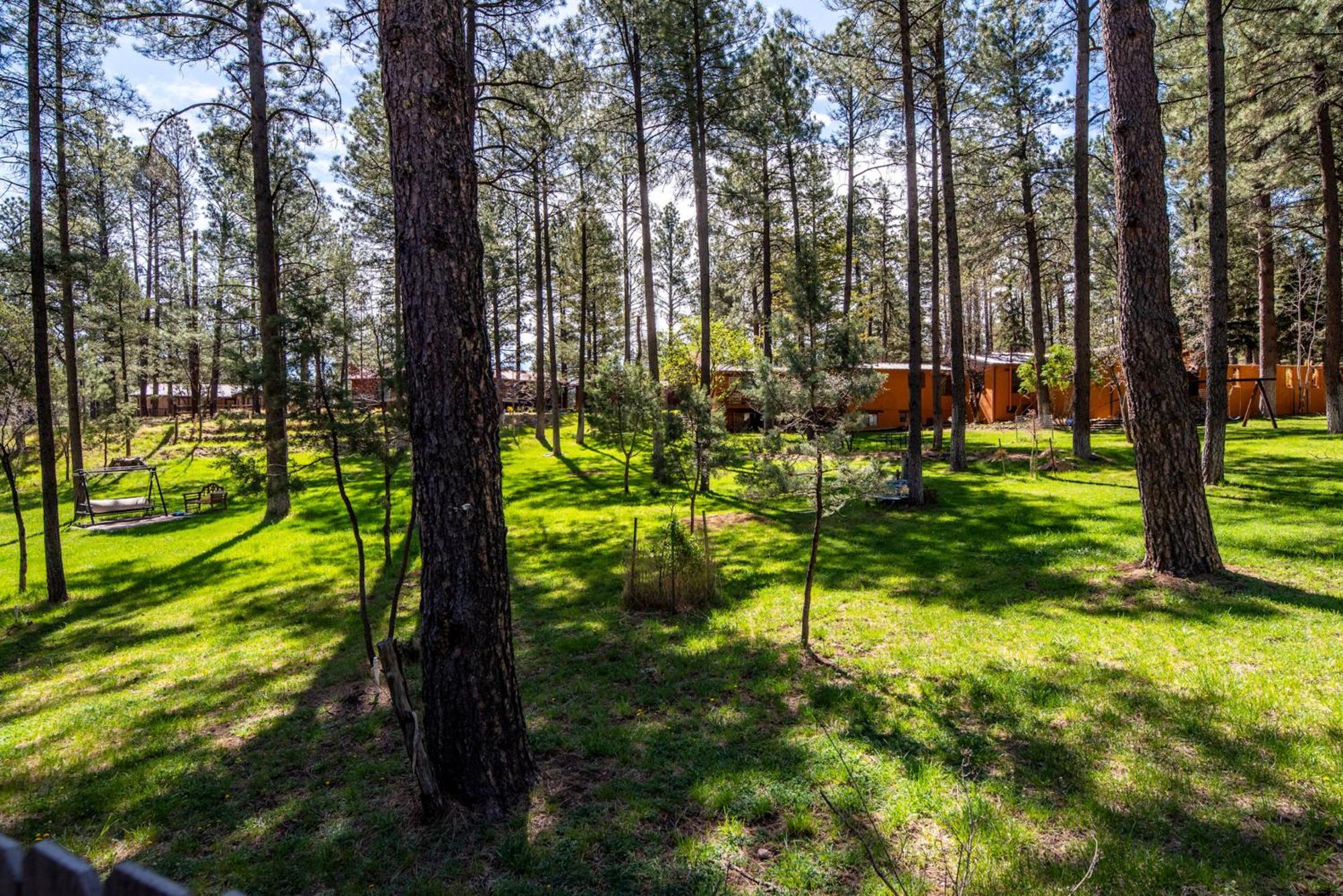 Rustic Pines Retreat Villa Ruidoso Rom bilde